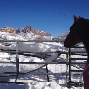 Mr. Baby contemplates what the heck all that white stuff is